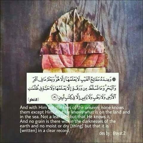 في رحاب الاسلام