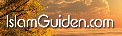 موقع دليل الإسلام باللغة السويدية