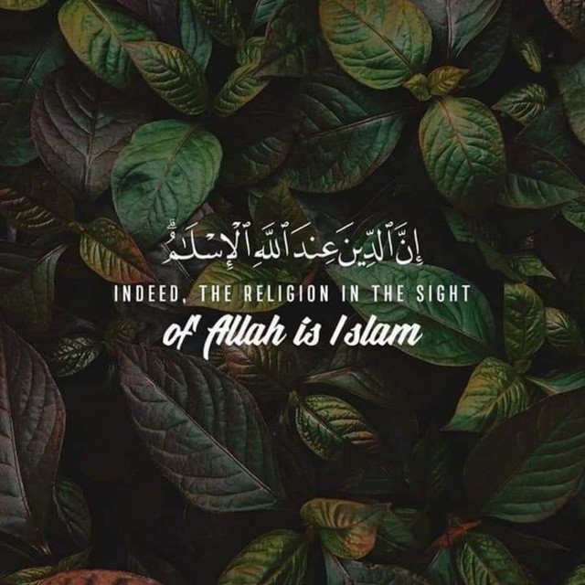 صور وفيديوهات دعوية