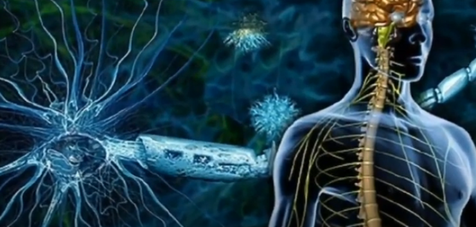 الدكتور أيمن خليل البلوي