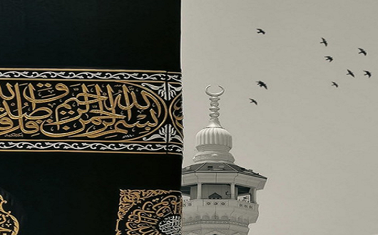 قناة زاد طالب العلم